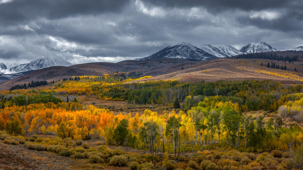 Eastern Sierra Landscape & Night Photography WorkshopsGreat Basin ...