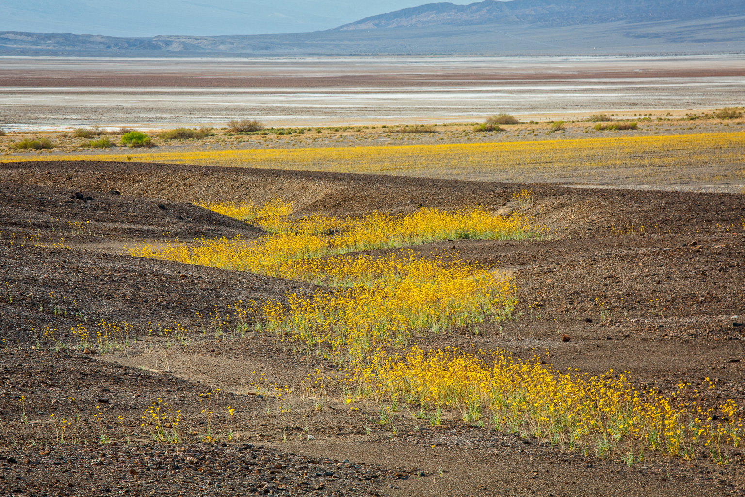 death-valley-national-park-great-basin-school-of-photography