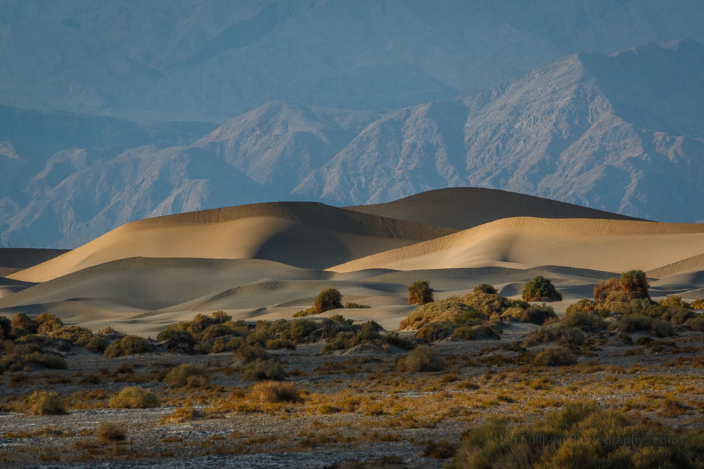 Anticipating Optimal Dune Lighting Via Sun Position - Great Basin ...