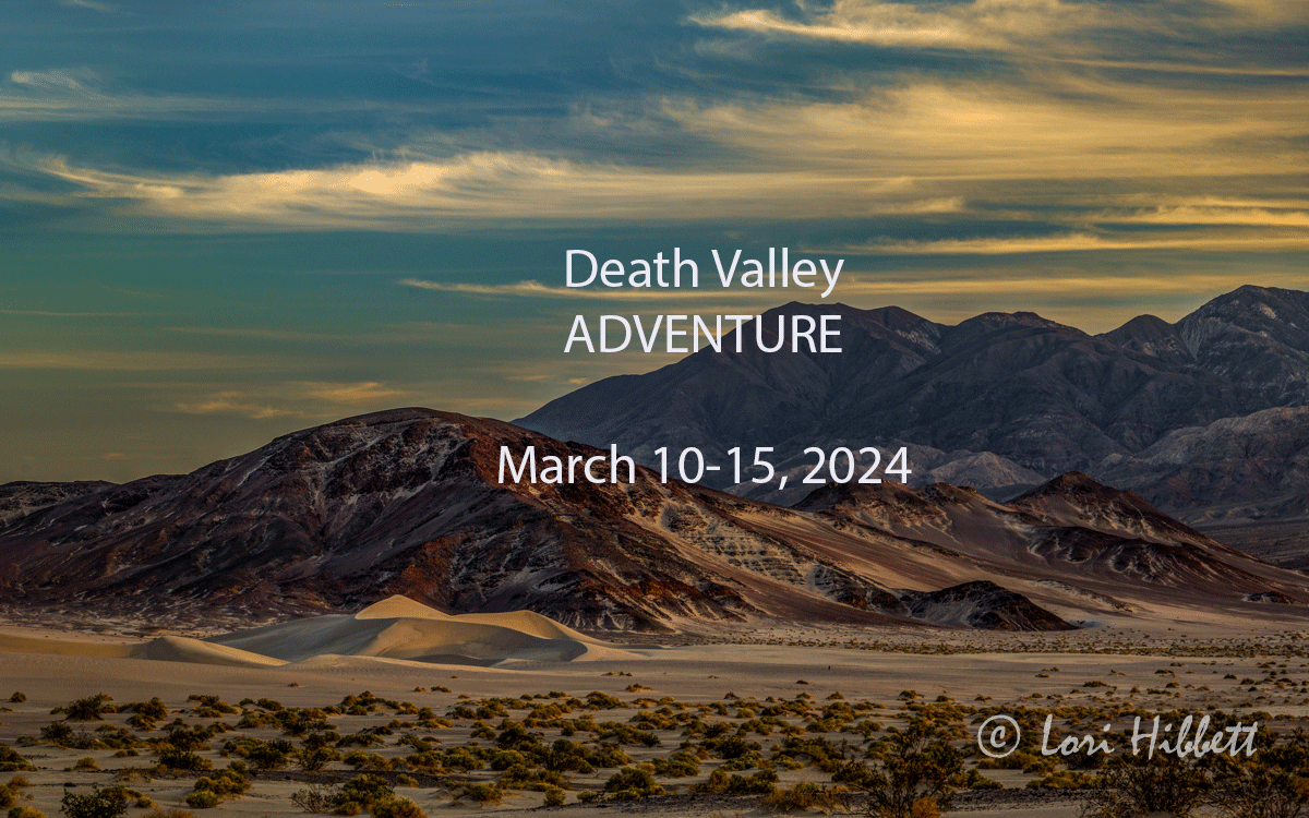 Death Valley National Park Remote Camping And Spring Photography Tour   Dv Adventure 2024 